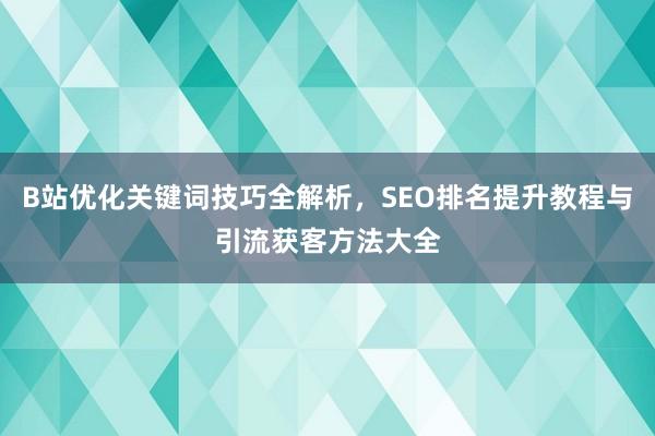 B站优化关键词技巧全解析，SEO排名提升教程与引流获客方法大全