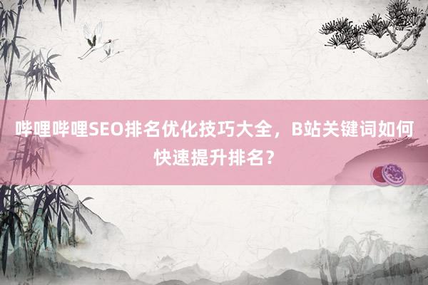 哔哩哔哩SEO排名优化技巧大全，B站关键词如何快速提升排名？
