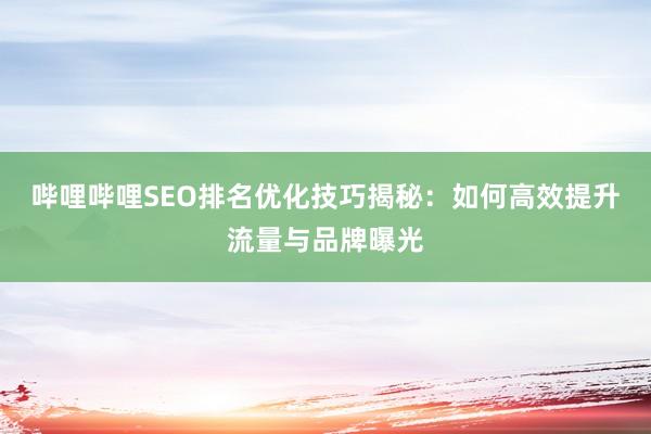 哔哩哔哩SEO排名优化技巧揭秘：如何高效提升流量与品牌曝光