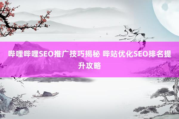 哔哩哔哩SEO推广技巧揭秘 哔站优化SEO排名提升攻略