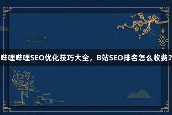 哔哩哔哩SEO优化技巧大全，B站SEO排名怎么收费？