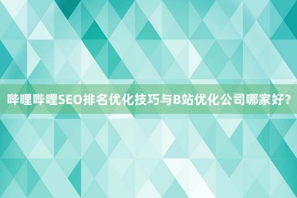 哔哩哔哩SEO排名优化技巧与B站优化公司哪家好？