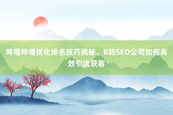 哔哩哔哩优化排名技巧揭秘，B站SEO公司如何高效引流获客
