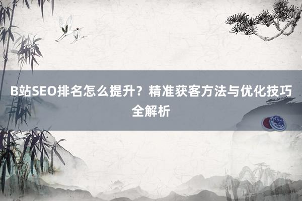B站SEO排名怎么提升？精准获客方法与优化技巧全解析
