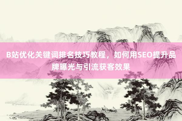 B站优化关键词排名技巧教程，如何用SEO提升品牌曝光与引流获客效果