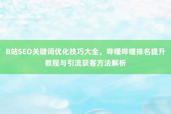 B站SEO关键词优化技巧大全，哔哩哔哩排名提升教程与引流获客方法解析