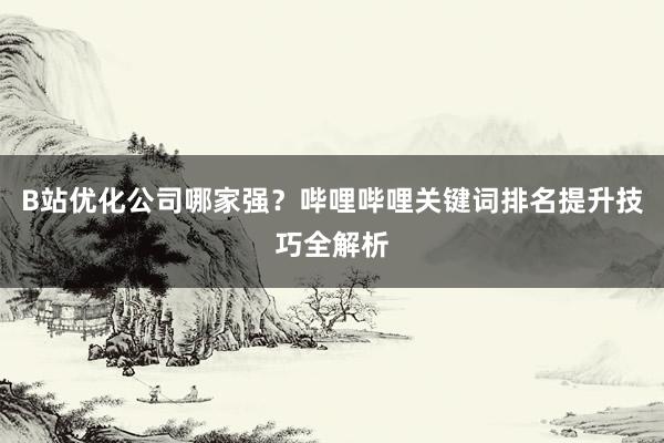 B站优化公司哪家强？哔哩哔哩关键词排名提升技巧全解析