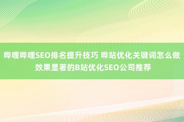 哔哩哔哩SEO排名提升技巧 哔站优化关键词怎么做 效果显著的B站优化SEO公司推荐
