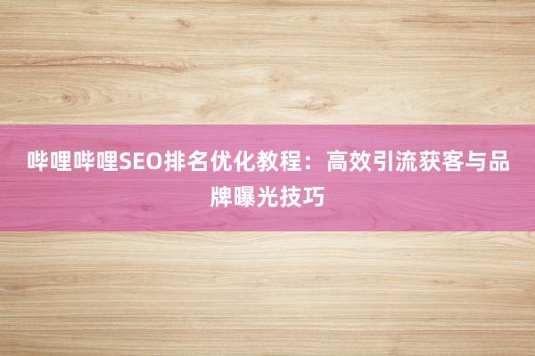 哔哩哔哩SEO排名优化教程：高效引流获客与品牌曝光技巧