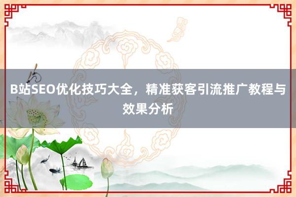B站SEO优化技巧大全，精准获客引流推广教程与效果分析