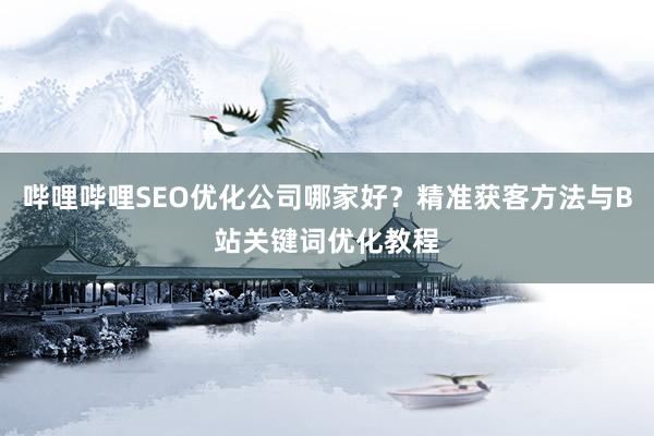 哔哩哔哩SEO优化公司哪家好？精准获客方法与B站关键词优化教程