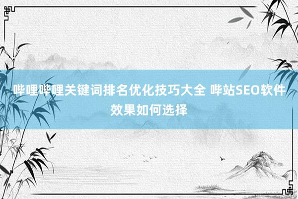 哔哩哔哩关键词排名优化技巧大全 哔站SEO软件效果如何选择