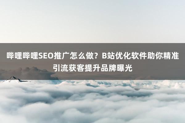 哔哩哔哩SEO推广怎么做？B站优化软件助你精准引流获客提升品牌曝光