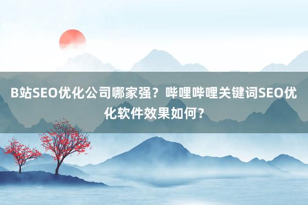 B站SEO优化公司哪家强？哔哩哔哩关键词SEO优化软件效果如何？