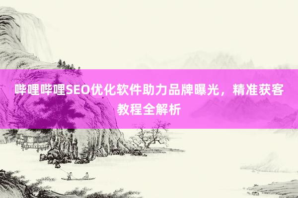 哔哩哔哩SEO优化软件助力品牌曝光，精准获客教程全解析