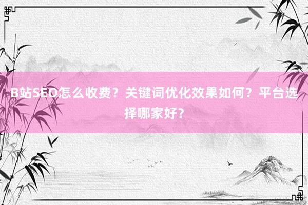 B站SEO怎么收费？关键词优化效果如何？平台选择哪家好？