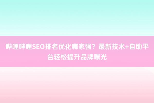 哔哩哔哩SEO排名优化哪家强？最新技术+自助平台轻松提升品牌曝光