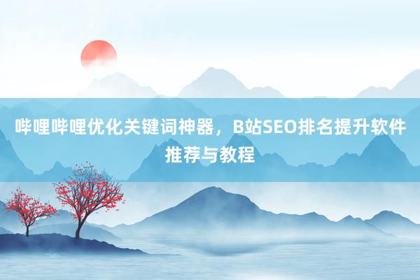 哔哩哔哩优化关键词神器，B站SEO排名提升软件推荐与教程