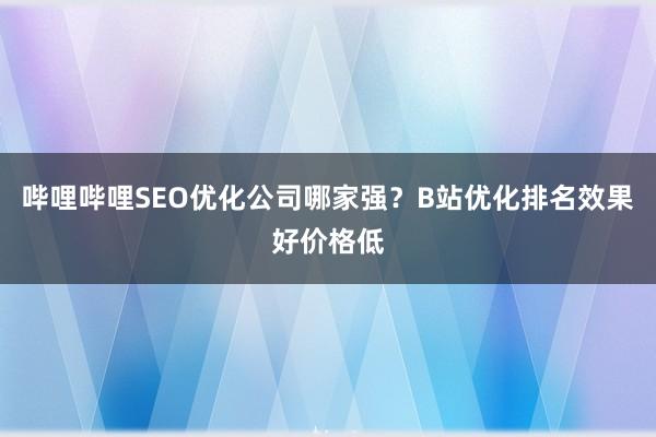 哔哩哔哩SEO优化公司哪家强？B站优化排名效果好价格低