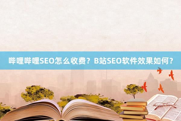 哔哩哔哩SEO怎么收费？B站SEO软件效果如何？