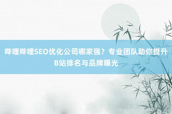 哔哩哔哩SEO优化公司哪家强？专业团队助你提升B站排名与品牌曝光