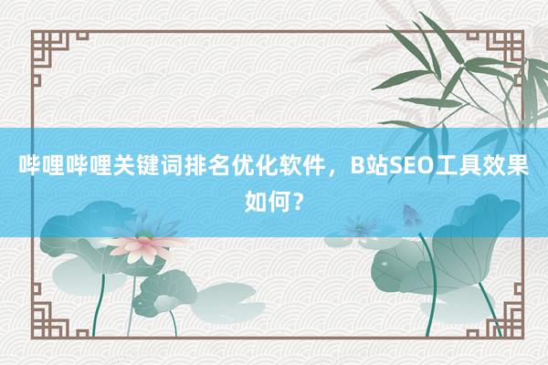 哔哩哔哩关键词排名优化软件，B站SEO工具效果如何？