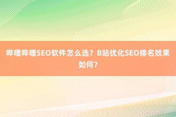 哔哩哔哩SEO软件怎么选？B站优化SEO排名效果如何？