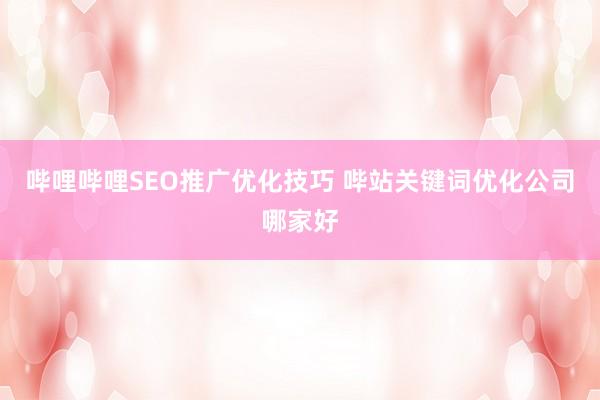 哔哩哔哩SEO推广优化技巧 哔站关键词优化公司哪家好