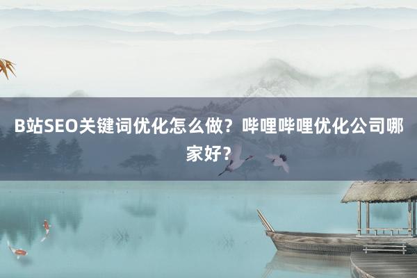 B站SEO关键词优化怎么做？哔哩哔哩优化公司哪家好？