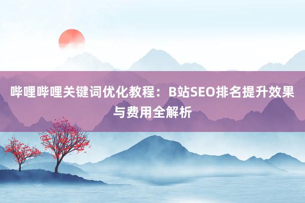 哔哩哔哩关键词优化教程：B站SEO排名提升效果与费用全解析