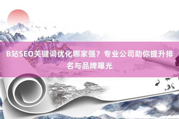 B站SEO关键词优化哪家强？专业公司助你提升排名与品牌曝光