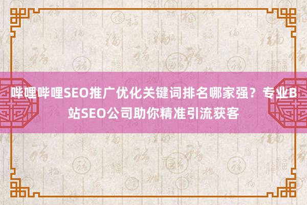 哔哩哔哩SEO推广优化关键词排名哪家强？专业B站SEO公司助你精准引流获客