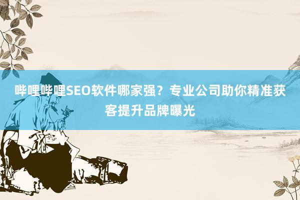 哔哩哔哩SEO软件哪家强？专业公司助你精准获客提升品牌曝光