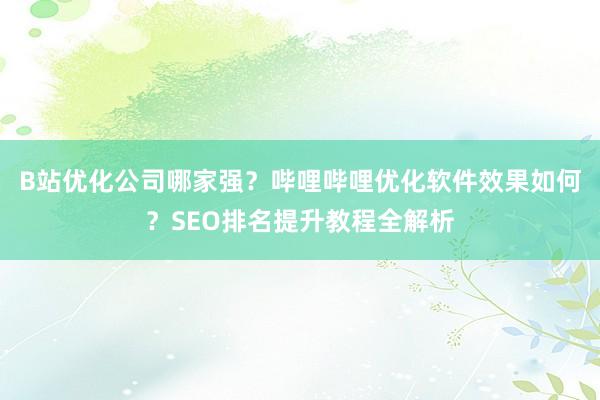B站优化公司哪家强？哔哩哔哩优化软件效果如何？SEO排名提升教程全解析