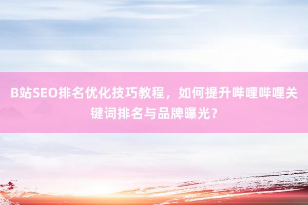 B站SEO排名优化技巧教程，如何提升哔哩哔哩关键词排名与品牌曝光？