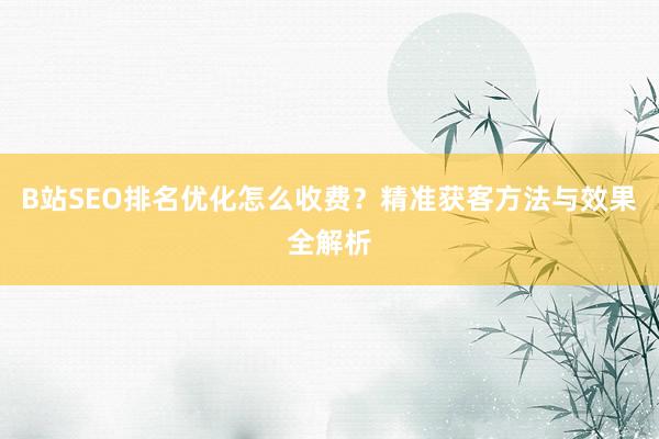 B站SEO排名优化怎么收费？精准获客方法与效果全解析