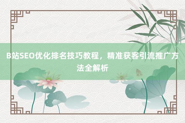 B站SEO优化排名技巧教程，精准获客引流推广方法全解析