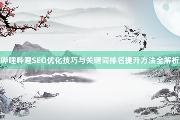 哔哩哔哩SEO优化技巧与关键词排名提升方法全解析