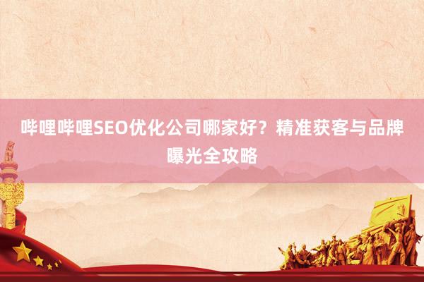 哔哩哔哩SEO优化公司哪家好？精准获客与品牌曝光全攻略
