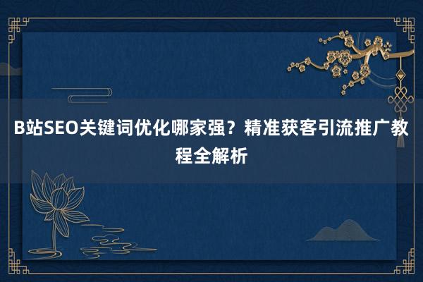 B站SEO关键词优化哪家强？精准获客引流推广教程全解析