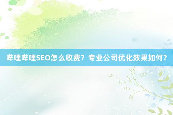 哔哩哔哩SEO怎么收费？专业公司优化效果如何？