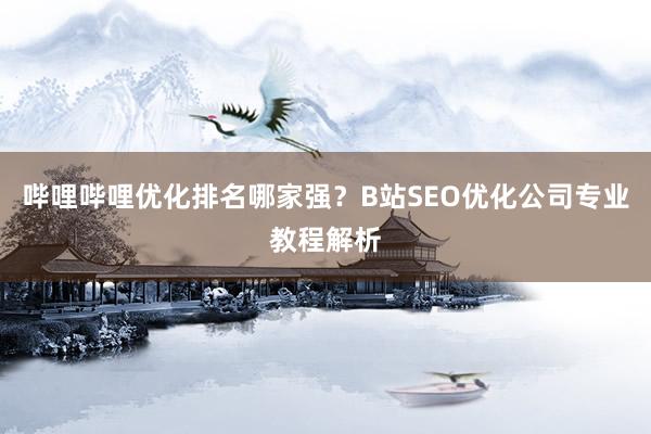 哔哩哔哩优化排名哪家强？B站SEO优化公司专业教程解析