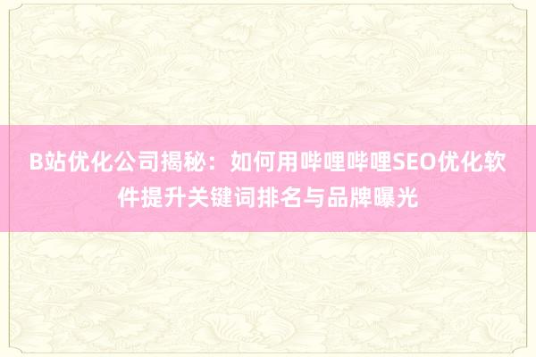 B站优化公司揭秘：如何用哔哩哔哩SEO优化软件提升关键词排名与品牌曝光