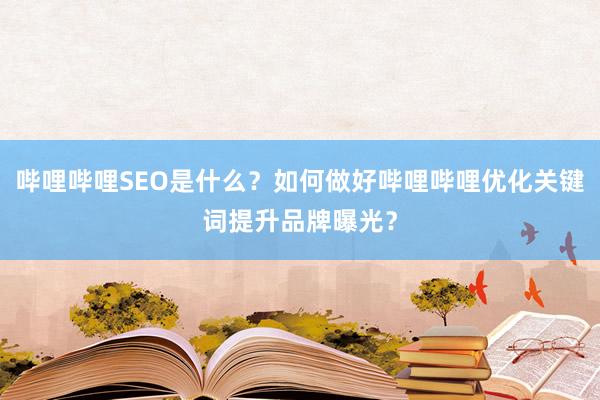 哔哩哔哩SEO是什么？如何做好哔哩哔哩优化关键词提升品牌曝光？