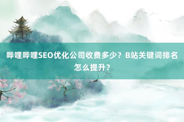 哔哩哔哩SEO优化公司收费多少？B站关键词排名怎么提升？