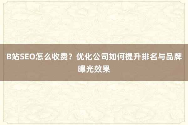 B站SEO怎么收费？优化公司如何提升排名与品牌曝光效果