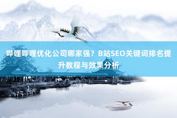 哔哩哔哩优化公司哪家强？B站SEO关键词排名提升教程与效果分析