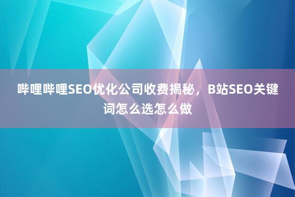 哔哩哔哩SEO优化公司收费揭秘，B站SEO关键词怎么选怎么做