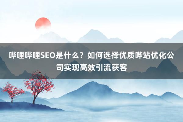 哔哩哔哩SEO是什么？如何选择优质哔站优化公司实现高效引流获客