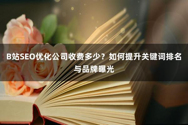 B站SEO优化公司收费多少？如何提升关键词排名与品牌曝光